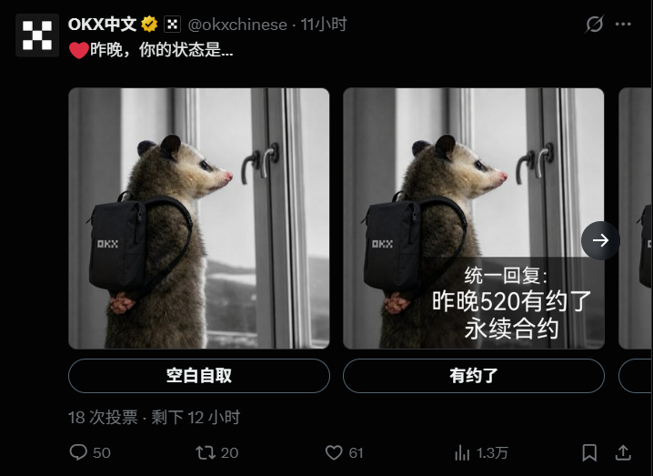 背手负鼠社交截图 3